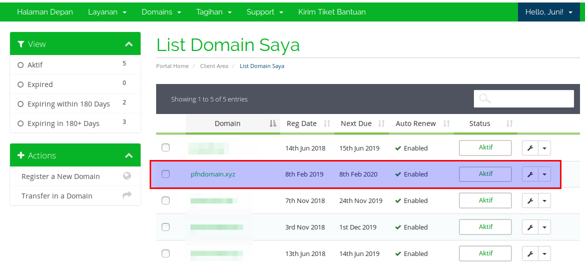 2.4 – Halaman List Domain Saya
